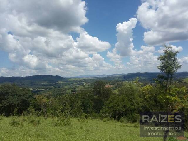 #553 - Sítio para Venda em Pedra Bela - SP - 2