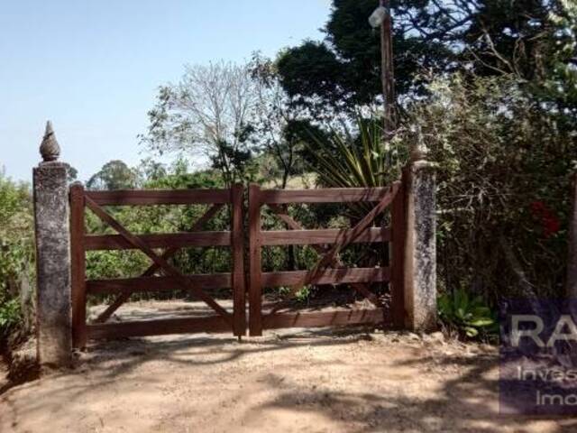 #553 - Sítio para Venda em Pedra Bela - SP - 3