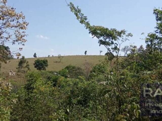 Sítio para Venda em Pedra Bela - 4