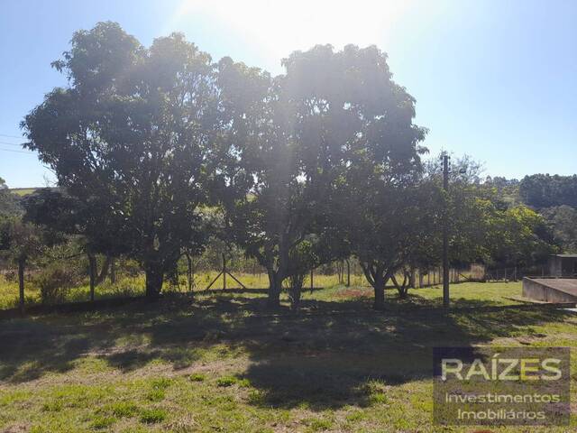Chácara para Venda em Bragança Paulista - 5