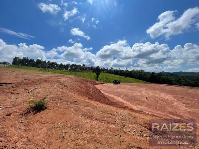 Terreno para Venda em Pedra Bela - 5