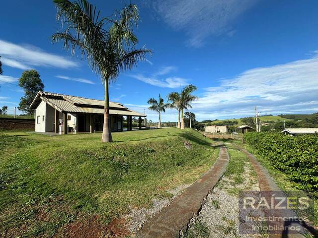 Chácara para Venda em Pedra Bela - 4